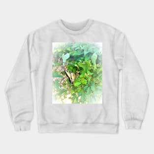 Eastern Tiger Swallowtail Butterfly in Habitat Crewneck Sweatshirt